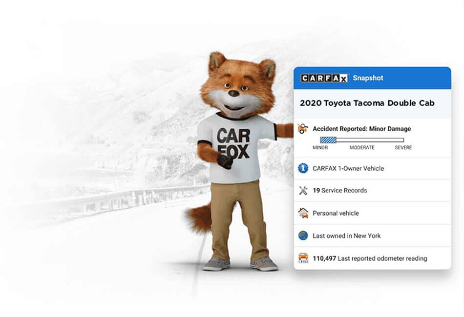 Fox maskot holding Carfax report
