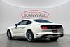 7 thumbnail image of  2015 Ford Mustang GT 50 Years Limited Edition