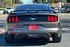 8 thumbnail image of  2016 Ford Mustang EcoBoost